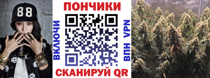 Как найти наркотики Шуя МАРИХУАНА Амфетамин БУТИРАТ ГАШИШ Псилоцибиновые грибы Меф APVP