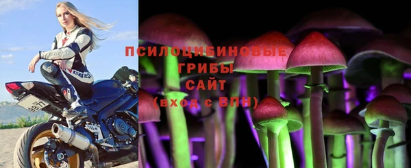соль курить ск Алексин