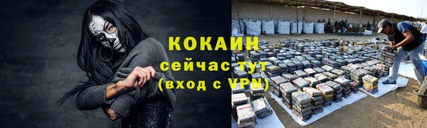 соль ск Алексеевка