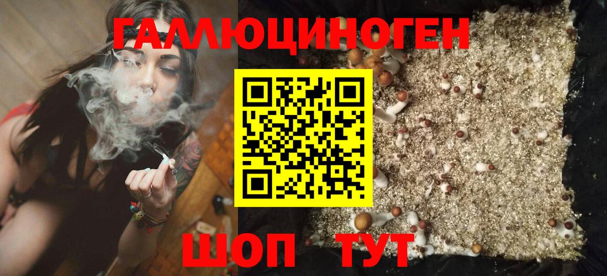 Галлюциногенные грибы прущие грибы Шуя